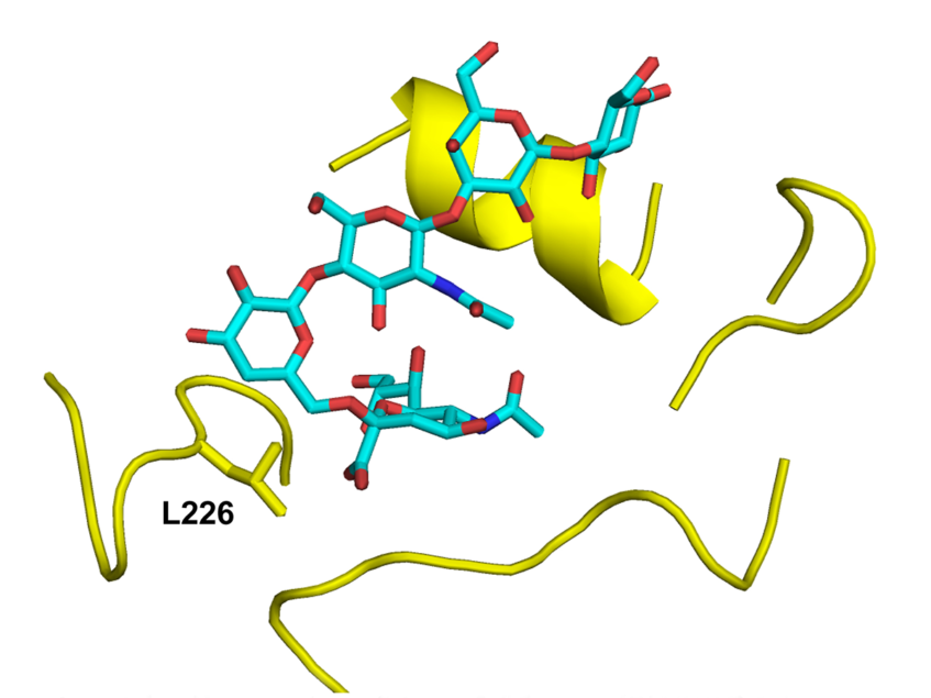 A single mutation in H5N1 is all that’s needed for easier transmissibility