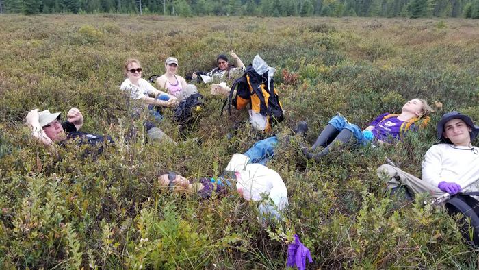 Tuberculosis Bacteria Vulnerable to Substances from Peat Bog Fungi