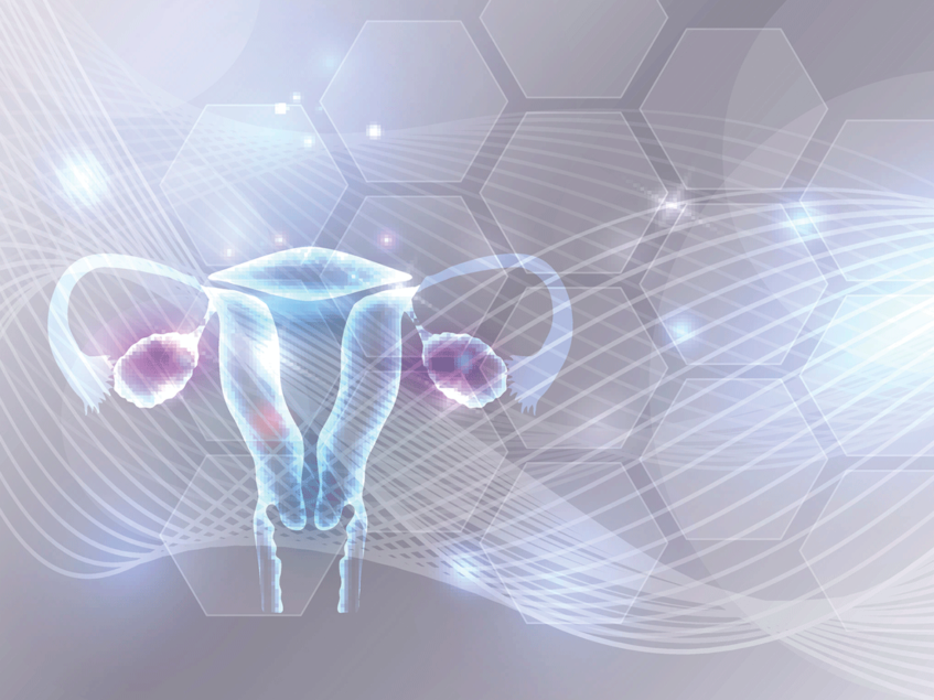 Freya adds .8M for microbial immunotherapies in women’s health